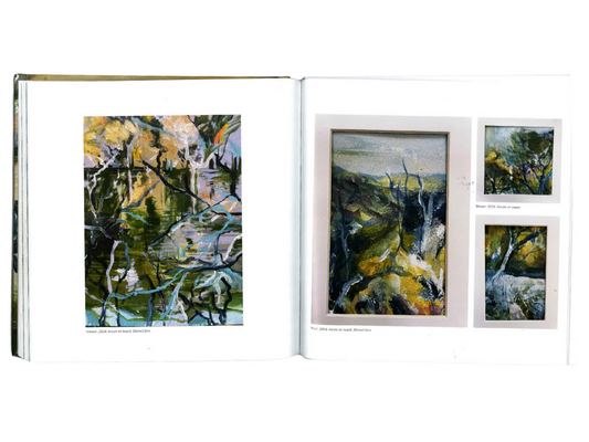 Preliminary Studies