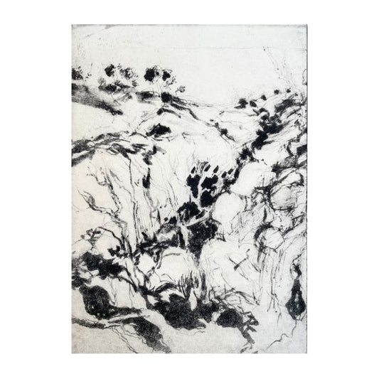Cliff 1/5