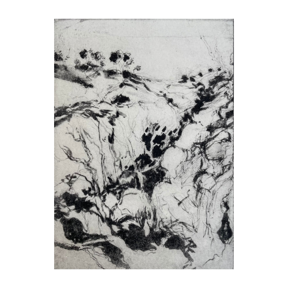 Cliff 2/5